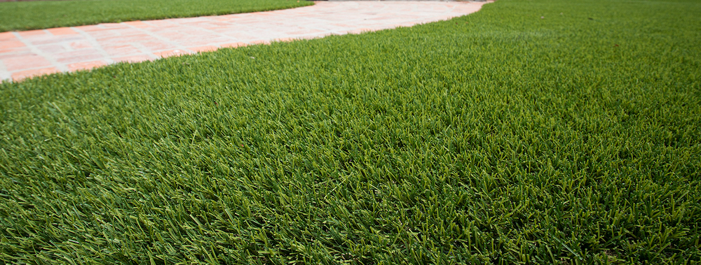 fake dog grass in Pembroke Pines, FL